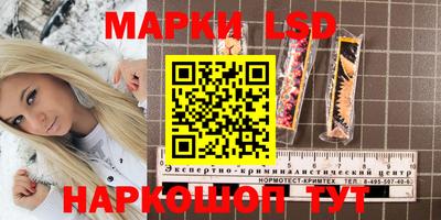 крисы Пыть-Ях