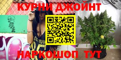 шишки Пушкино