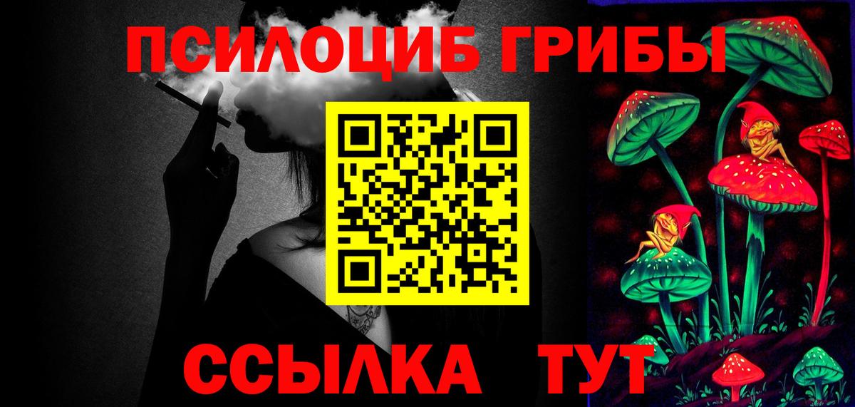 Чусовой  Псилоцибиновые грибы Psilocybine cubensis  Псилоцибиновые грибы Cubensis  Вход с VPN 